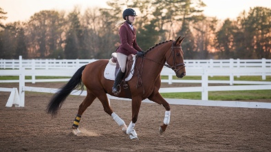 tradewinds park stables